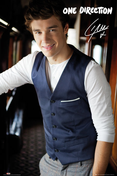 Poster One Direction - liam portrait