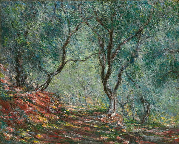 Monet, Claude - Obrazová reprodukce Olive Trees in the Moreno Garden, 1884, (40 x 35 cm)