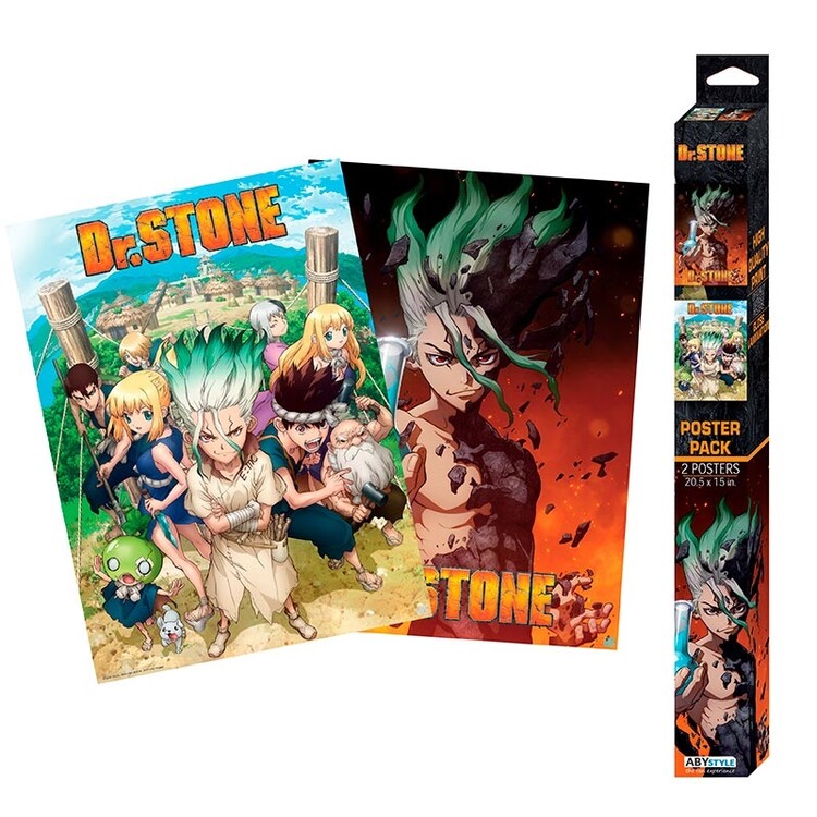 Cadeauset Dr. Stone - Group & Artwork