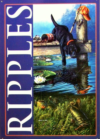 Metallschild RIPPLES