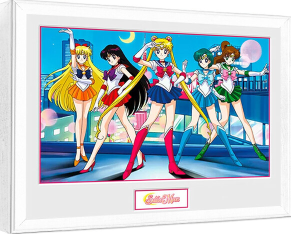 Ingelijste poster Sailor Moon - Group (White Frame)