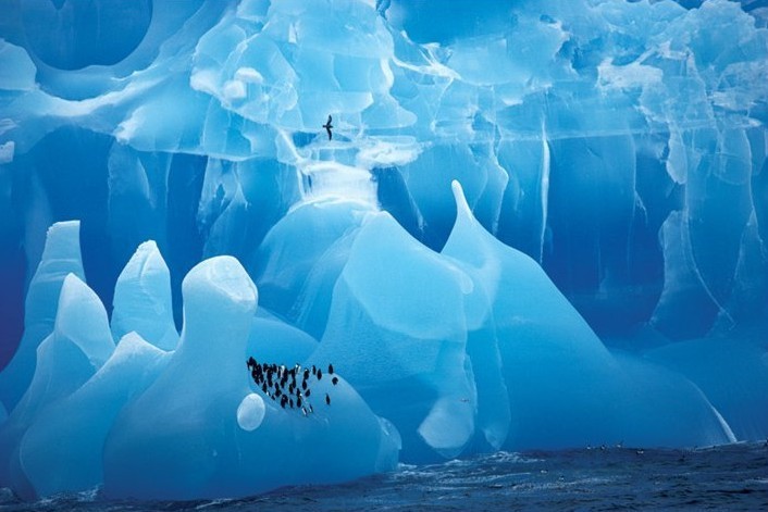 Plakát Arctic wonderland - tučňáci