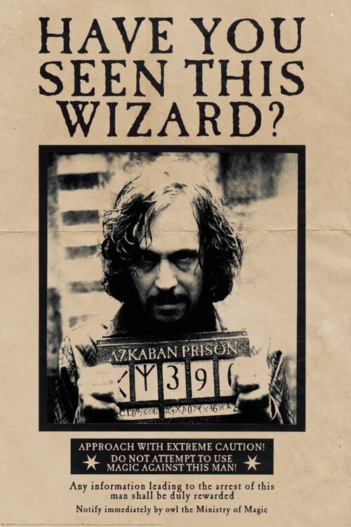 Plakát, Obraz - Harry Potter - Wanted Sirius Black, 80x120 cm