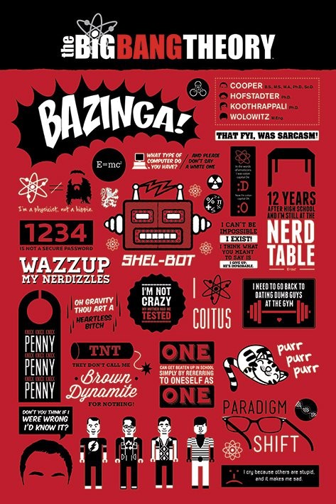 Poster BIG BANG THEORY - infographic