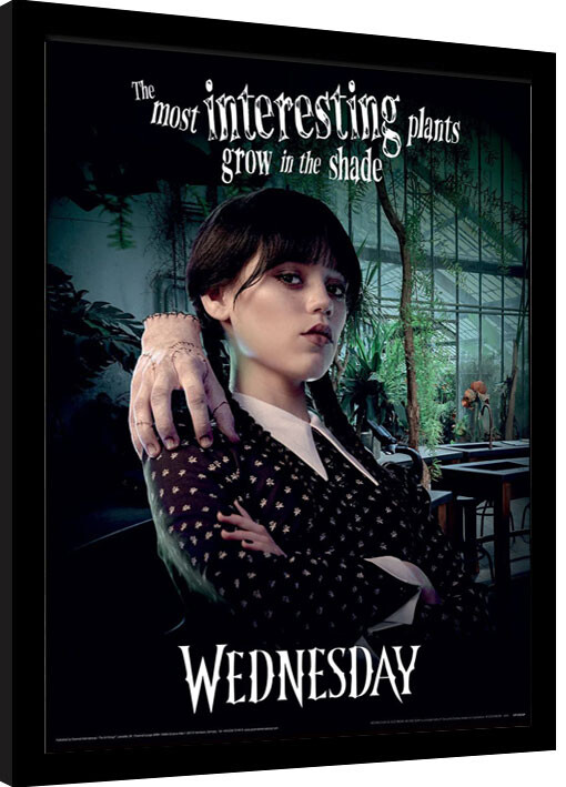 Poster enmarcado Wednesday - Shade