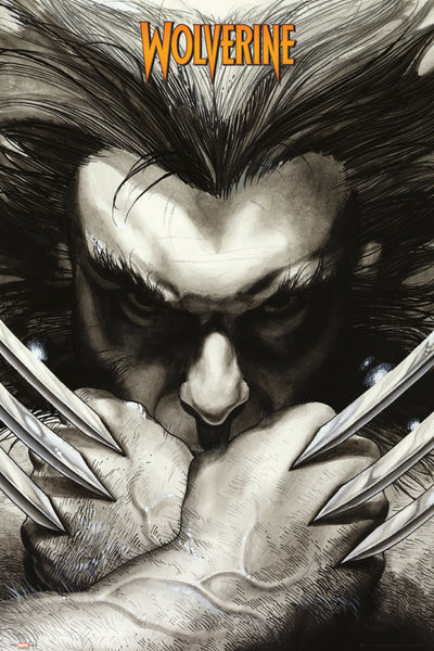Poster MARVEL EXTREME - wolverine claws