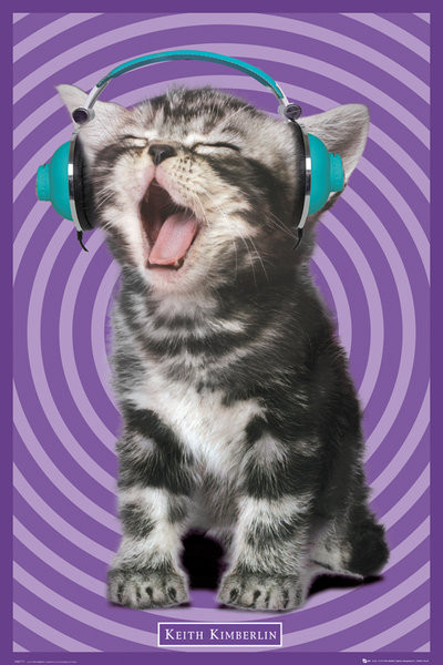 Poster Keith Kimberlin – kitten headphones