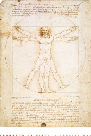 Framed Poster Leonardo da Vinci - vitruvian man