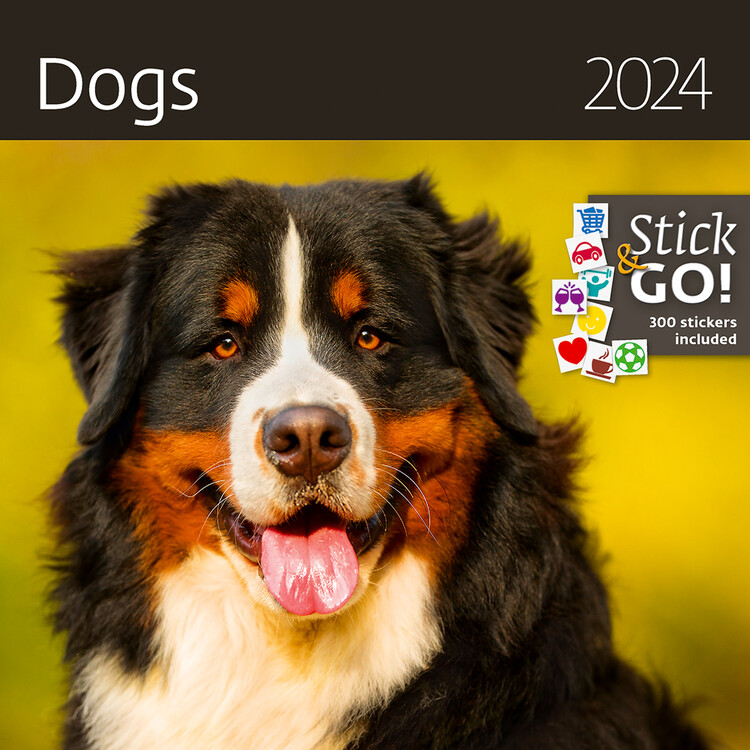 Naptár 2027 Dogs