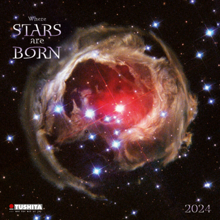 Kalendář 2027 Where Stars are Born