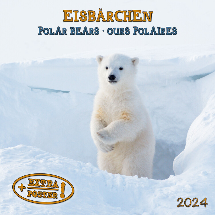 Kalender 2027 Bears