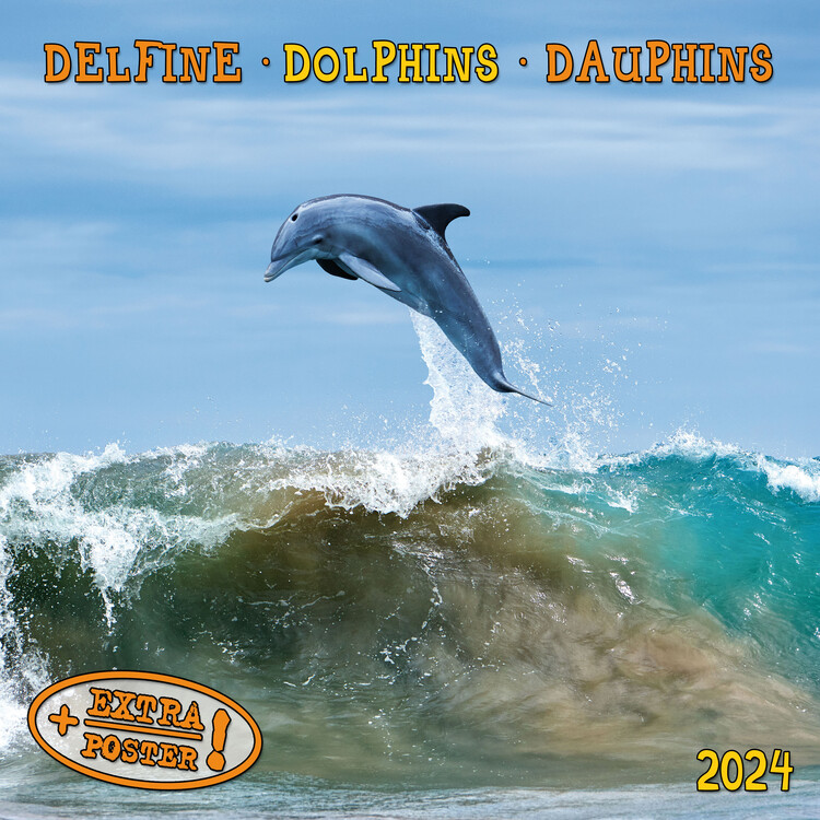 Calendario 2027 Dolphins
