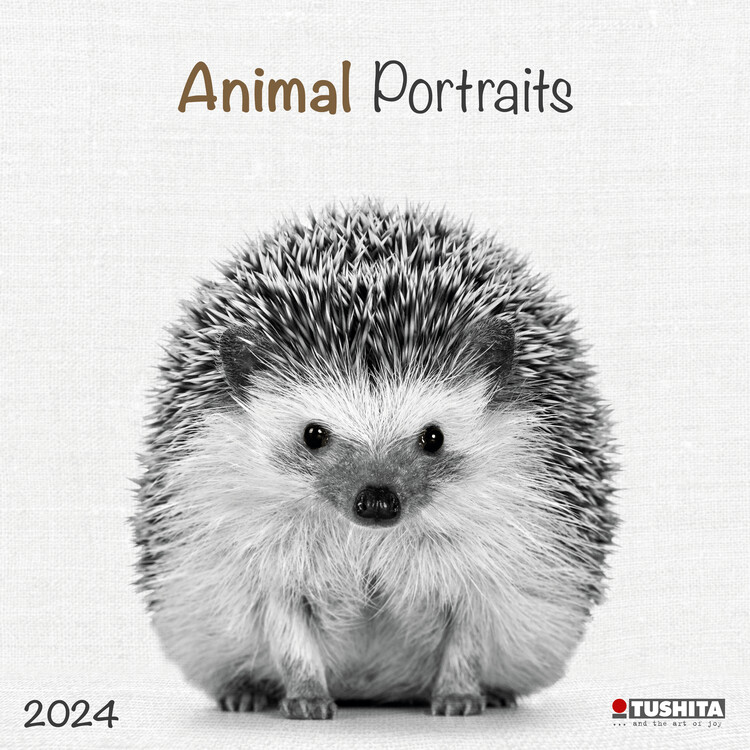 Kalender 2027 Animals portaits