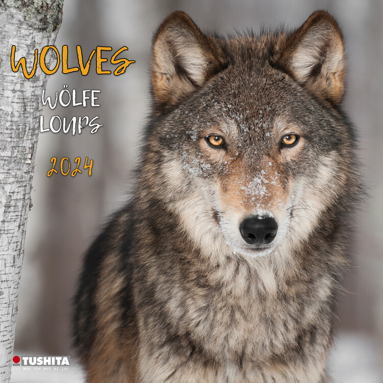 Kalender 2027 Wolves