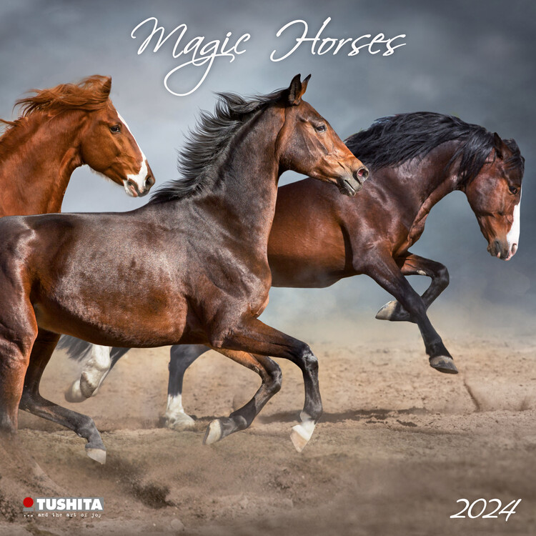 Calendario 2027 Magic Horses