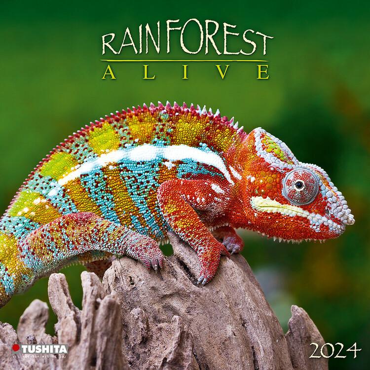 Calendrier 2027 Rainforest Alive