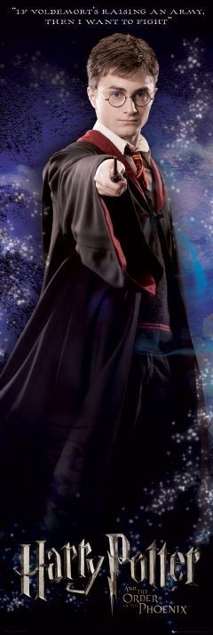 Poster HARRY POTTER 4 - fight