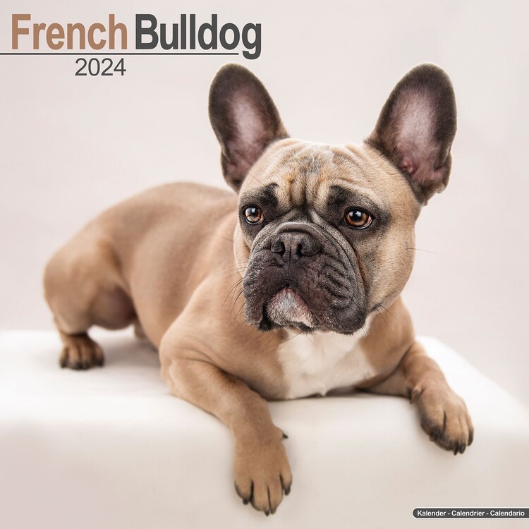 Calendario 2027 French Bulldog