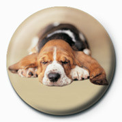 Button RACHAEL HALE - bruiser
