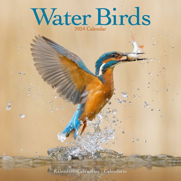 Calendario 2027 Water Birds