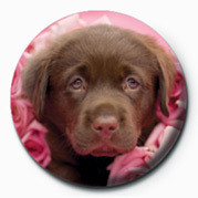 Button RACHAEL HALE - georgie