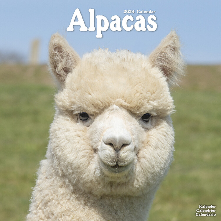 Kalendář 2027 Alpaky