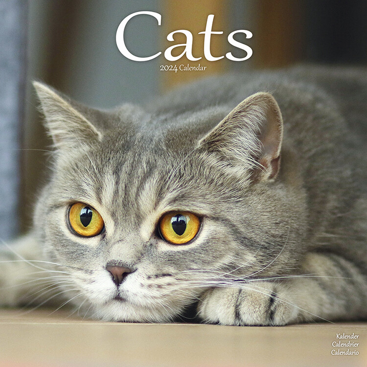 Calendario 2027 Cats