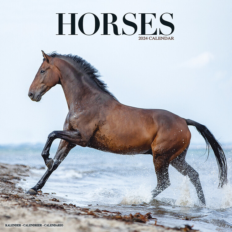 Kalender 2027 Horses