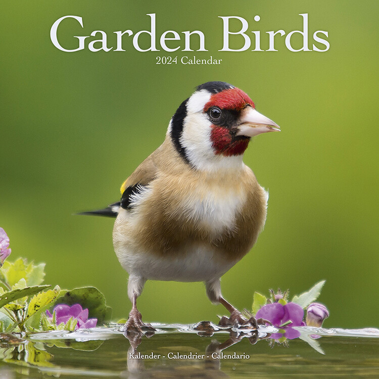 Calendario 2027 Garden Birds