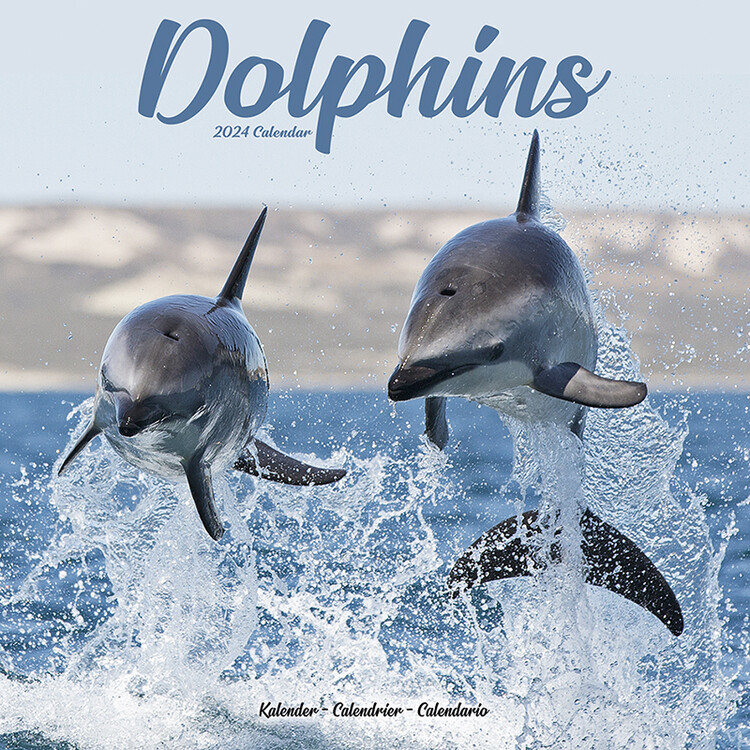Kalender 2027 Dolphins