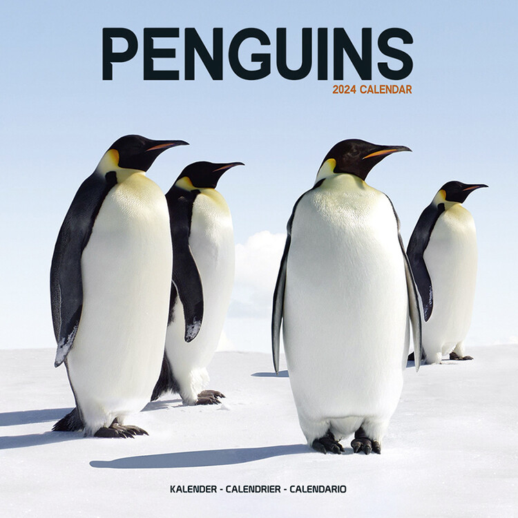 Kalender 2027 Penguins