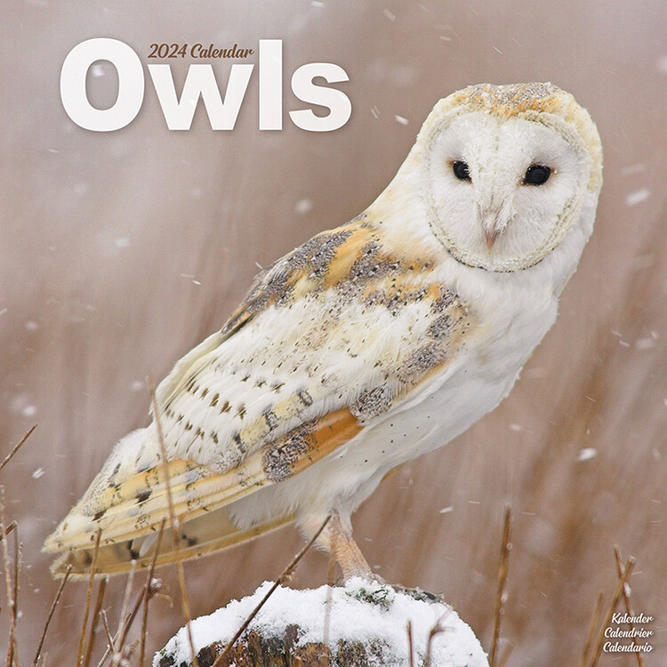 Kalender 2027 Owls