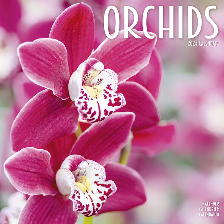 Naptár 2027 Orchids