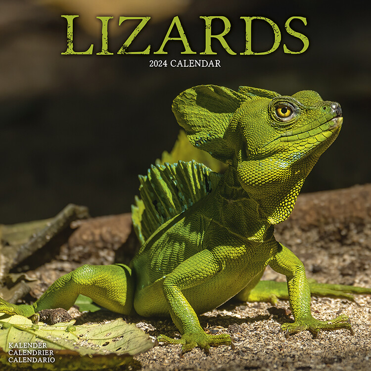 Kalender 2027 Lizards