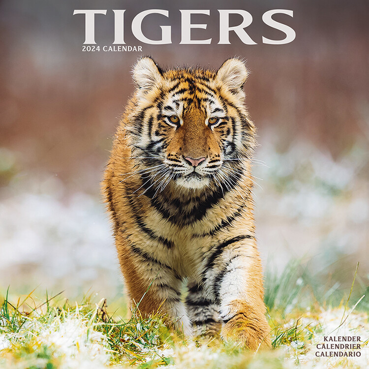 Kalender 2027 Tigers