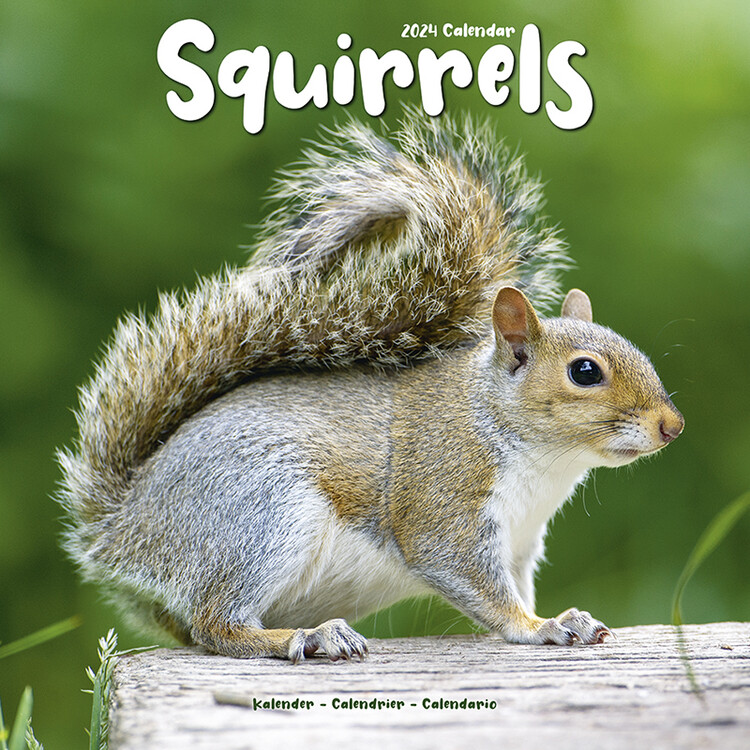 Naptár 2027 Squirrels
