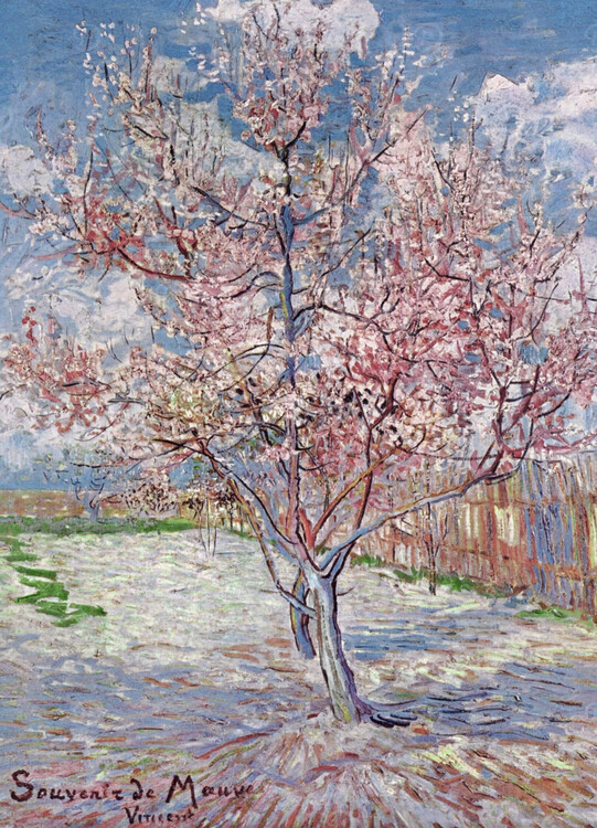 Levně Umělecký tisk Souvenir de Mauve - Růžová broskvoň v květu, 1888, Vincent van Gogh, 24 × 30 cm