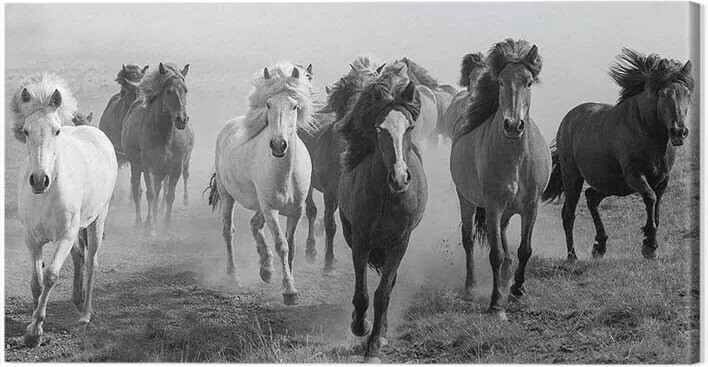 Obraz na płótnie Carys Jones - Dusty Plains