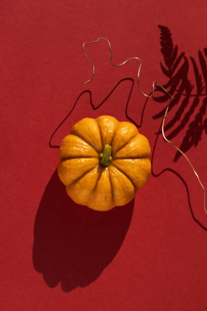 Plakát, Obraz - Pumpkin, shadow of fern leaf and copper on red background in brightly lit., Olga Zarytska, 26.7 × 40 cm