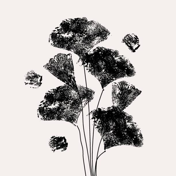 Levně Plakát, Obraz - Ginko Biloba tree vector illustration., Ksenia Loginovskikh, 40 × 40 cm