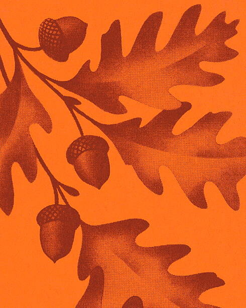 Levně Plakát, Obraz - Fall Leaves and Acorns, CSA Images, 30 × 40 cm