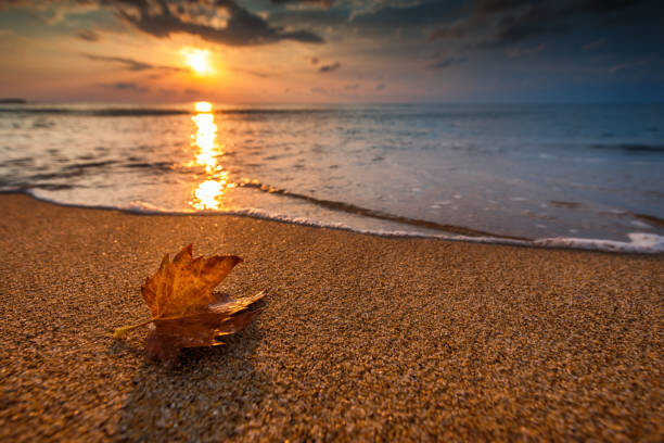 Levně Plakát, Obraz - Beautiful sunrise over the sea and leaf. Autumn concept., valio84sl, 40 × 26.7 cm