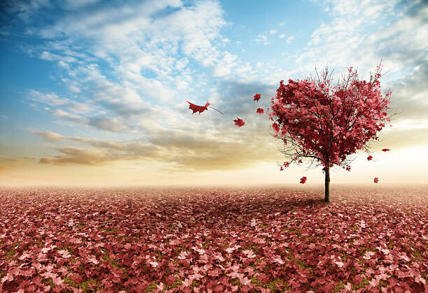 Levně Plakát, Obraz - Red heart tree, kevron2001, 40 × 26.7 cm