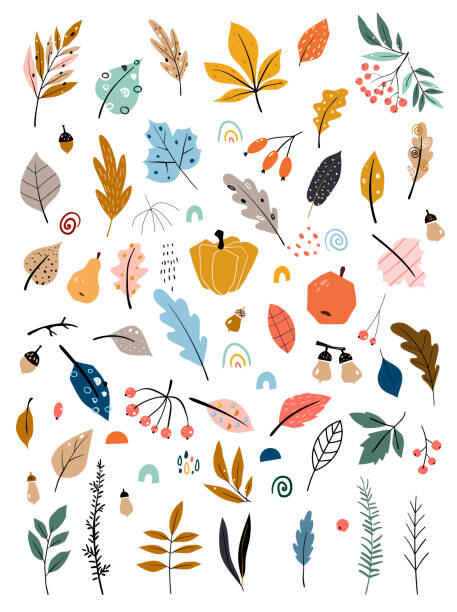 Levně Plakát, Obraz - Children s illustration with hand drawn leaves, vegetables and autumn harvest. Autumn set. Collection of hand drawn fallen leaves, veg