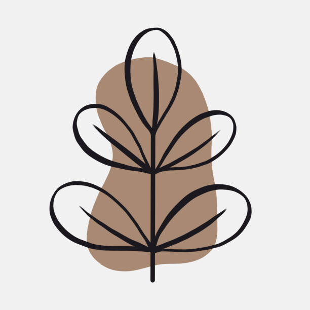 Levně Plakát, Obraz - Botanical doodle in a modern style, Oksana Khristosenko, 40 × 40 cm