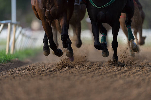 Fotografie Horse Racing detail, hooves on all weather track, Bob Thomas, 40 × 26.7 cm