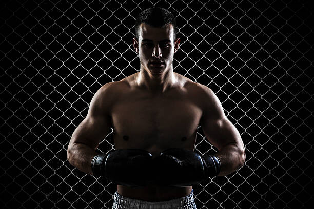 Fotografie Ultimate fighter, GoodLifeStudio, 40 × 26.7 cm