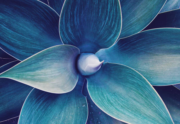 Levně Plakát, Obraz - Floral ultra violet abstract natural floral, Kira-Yan, 40 × 26.7 cm