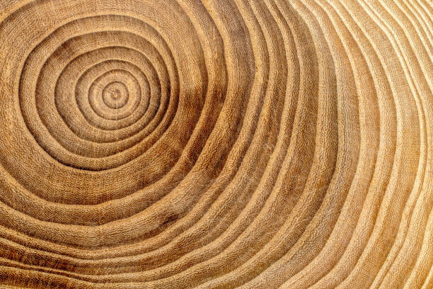 Levně Plakát, Obraz - Wooden cross section detail. Wood background., Mehmet Gökhan Bayhan, 40 × 26.7 cm