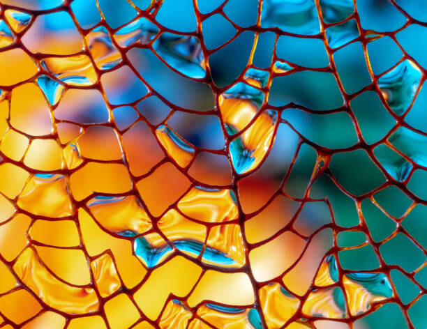 Fotografie macro photo of a Fan Coral Abstract, Photo by marianna armata, 40 × 30 cm